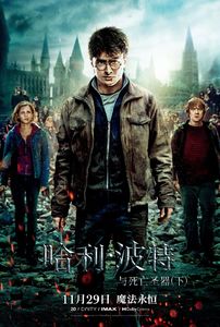 哈利·波特与死亡圣器(下)